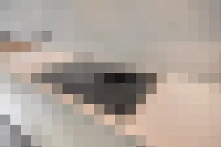 Zutphenseweg 48 Eefde thumbnail 24