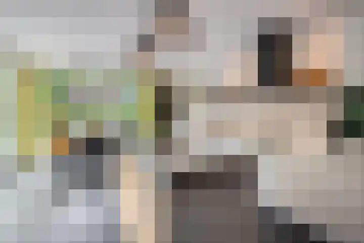 Zutphenseweg 48 Eefde thumbnail 4