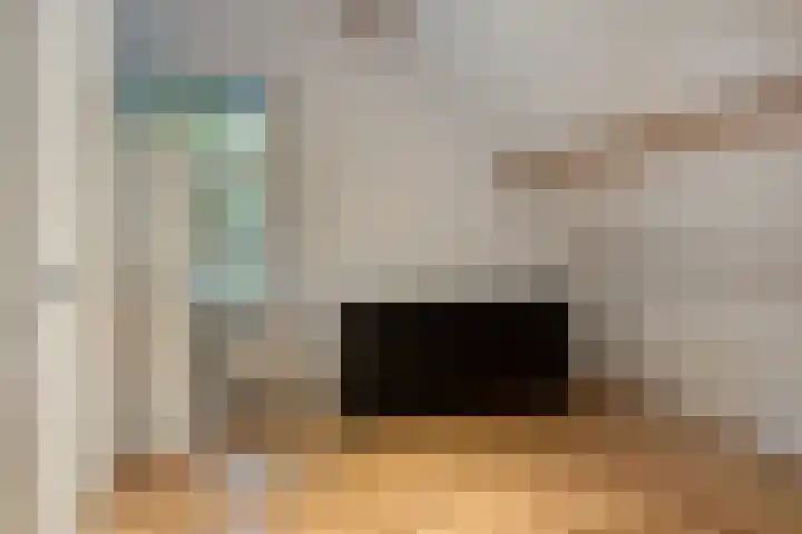 Zutphenseweg 48 Eefde thumbnail 42