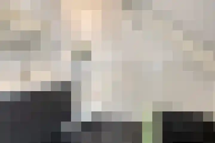 Zutphenseweg 48 Eefde thumbnail 43