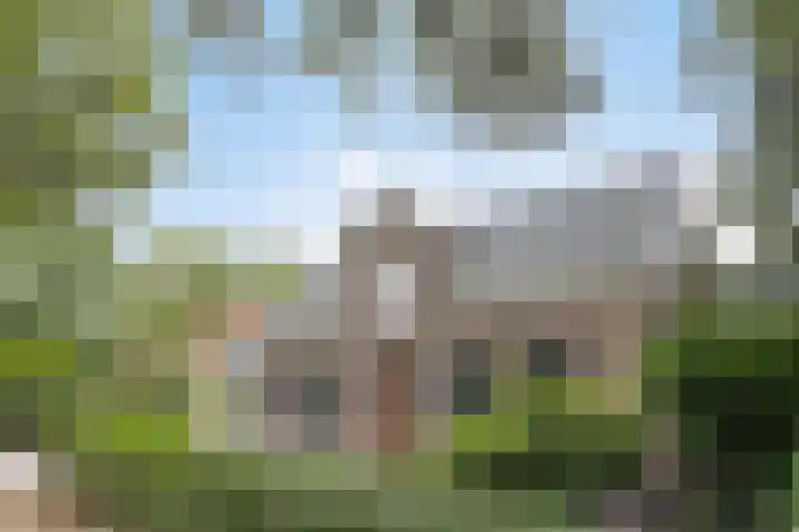 Zutphenseweg 48 Eefde thumbnail 46