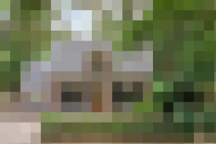 Zutphenseweg 48 Eefde thumbnail 47