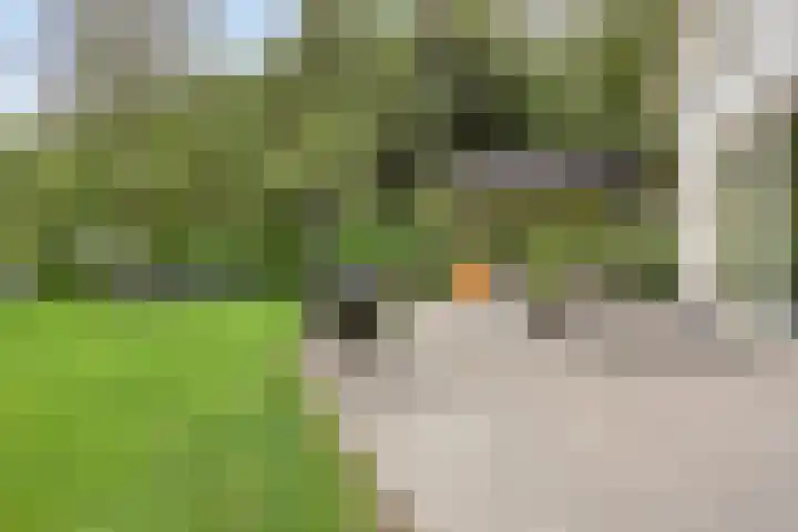 Zutphenseweg 48 Eefde thumbnail 49