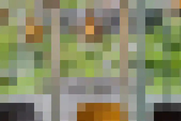 Zutphenseweg 48 Eefde thumbnail 5