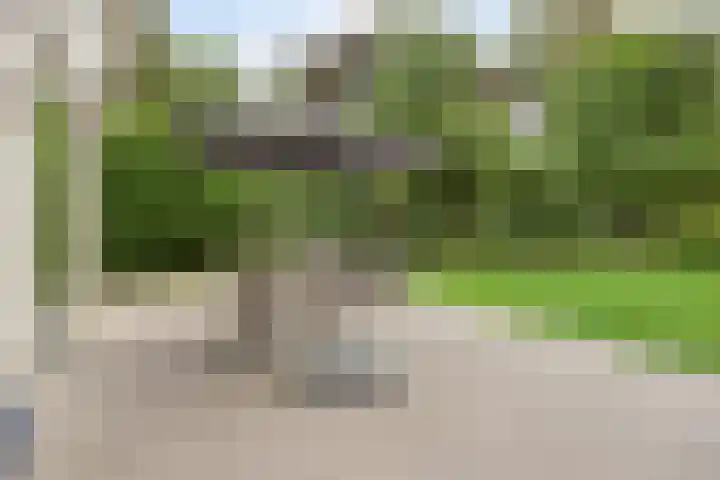Zutphenseweg 48 Eefde thumbnail 50