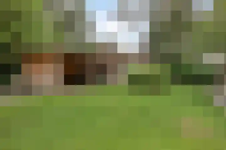 Zutphenseweg 48 Eefde thumbnail 51