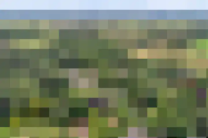 Zutphenseweg 48 Eefde thumbnail 52