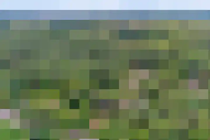 Zutphenseweg 48 Eefde thumbnail 53