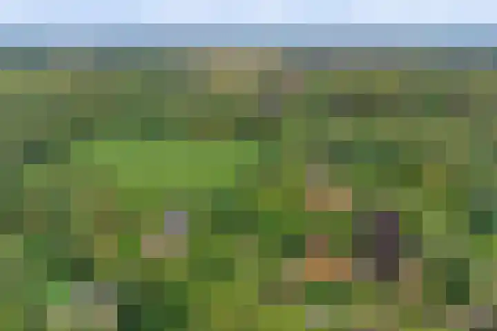 Zutphenseweg 48 Eefde thumbnail 54