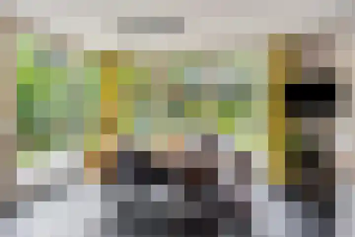 Zutphenseweg 48 Eefde thumbnail 6