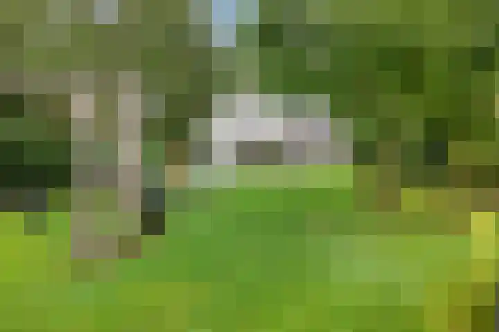 Zutphenseweg 48 Eefde thumbnail 7