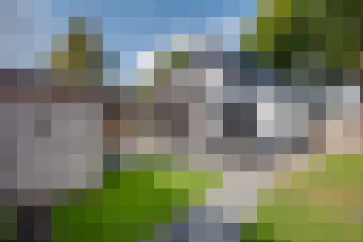Zutphenseweg 55 Lochem thumbnail 23