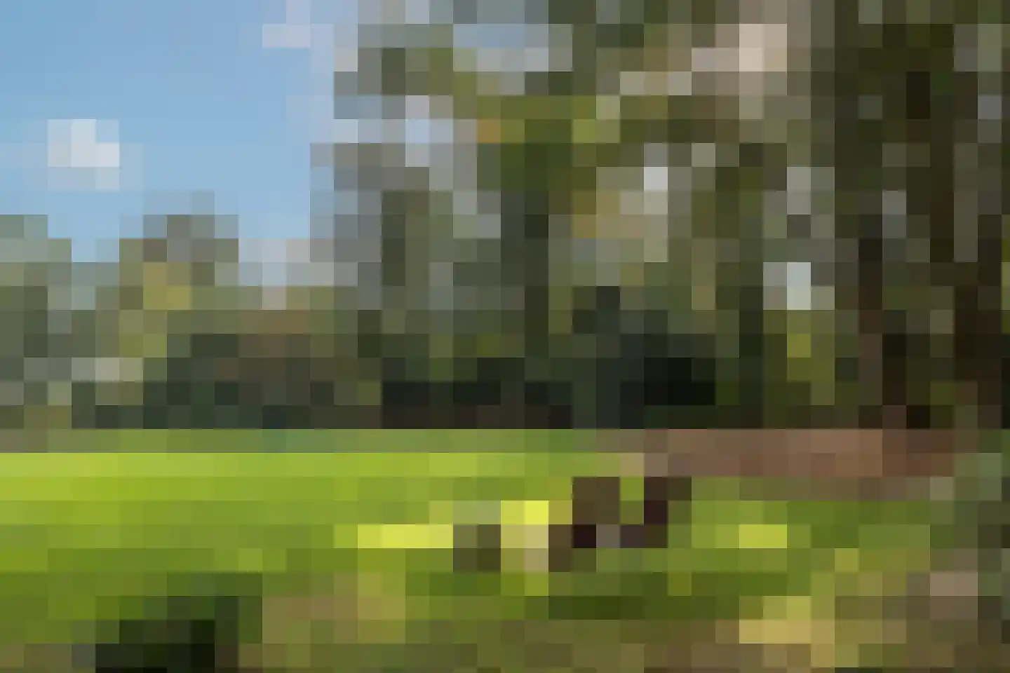 Zutphenseweg 76 Eefde thumbnail 10