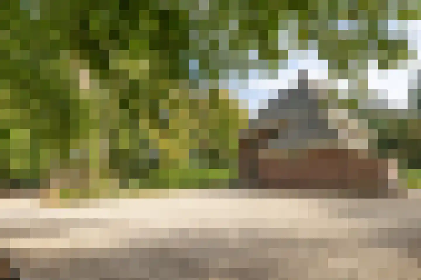 Zutphenseweg 76 Eefde thumbnail 101
