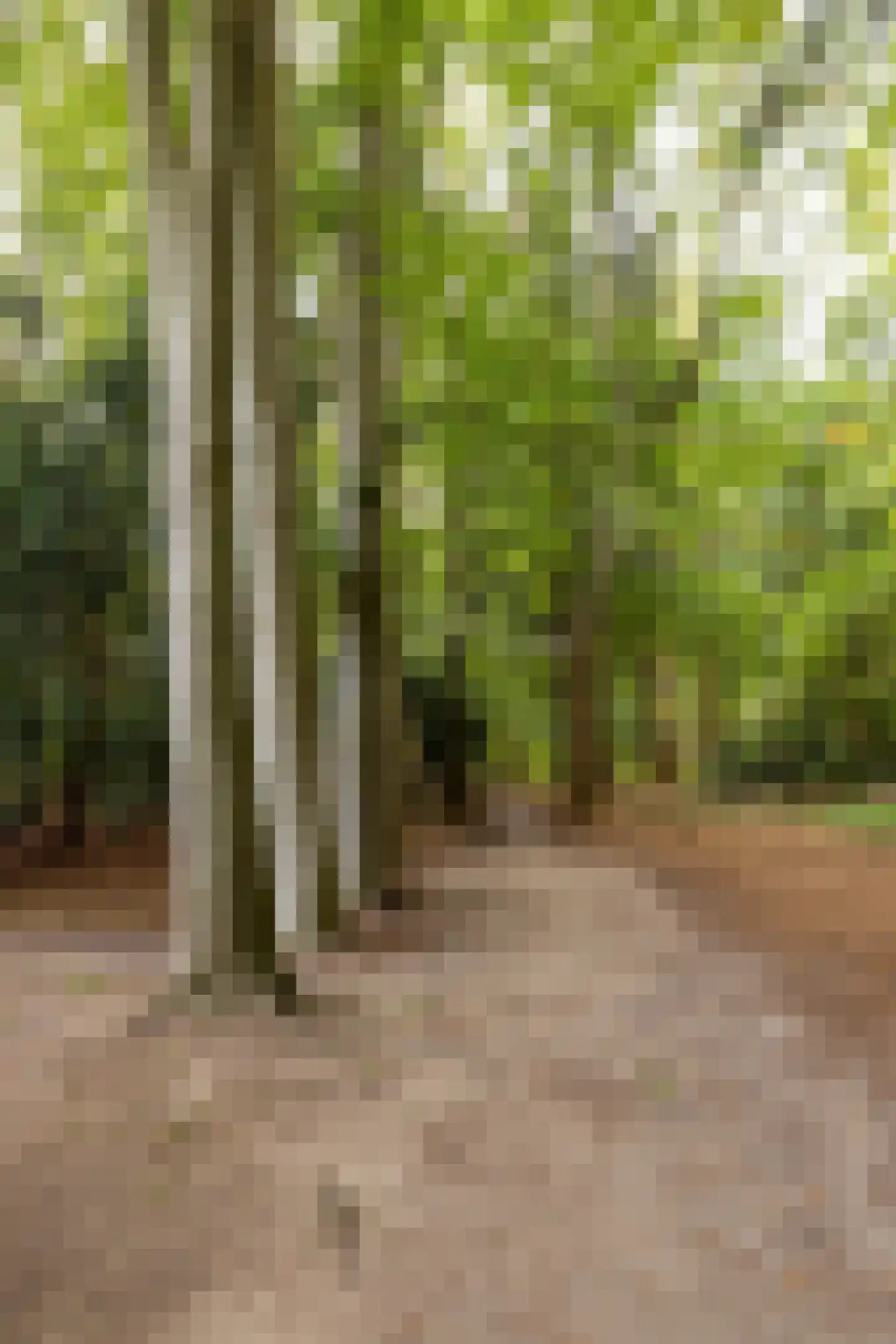 Zutphenseweg 76 Eefde thumbnail 104