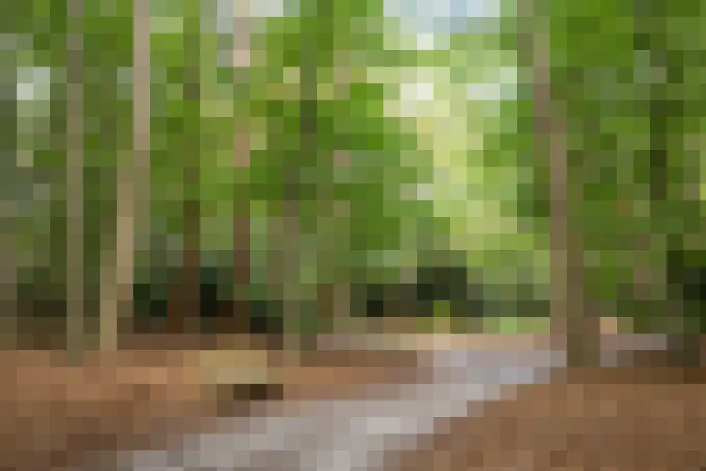Zutphenseweg 76 Eefde thumbnail 105