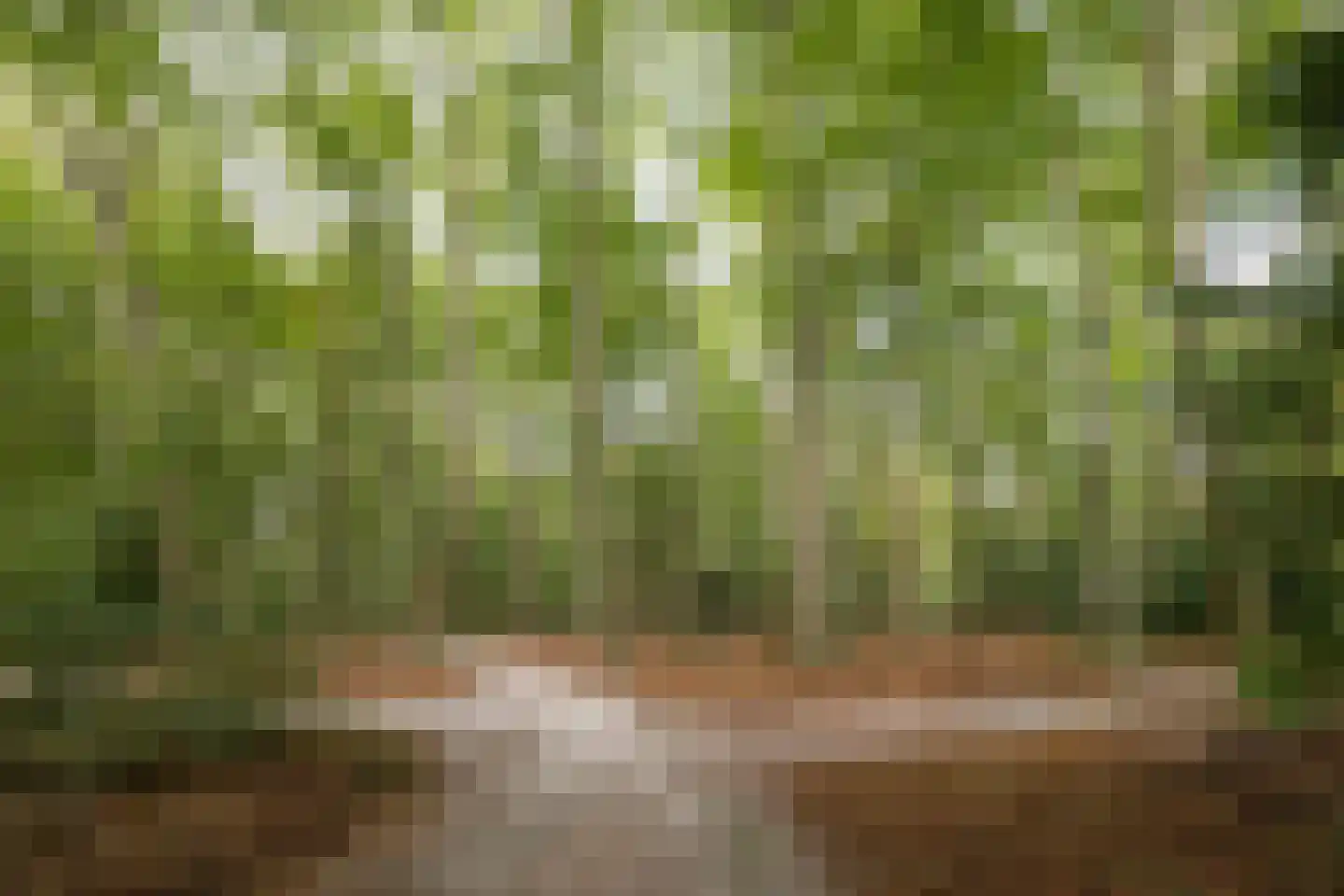 Zutphenseweg 76 Eefde thumbnail 106