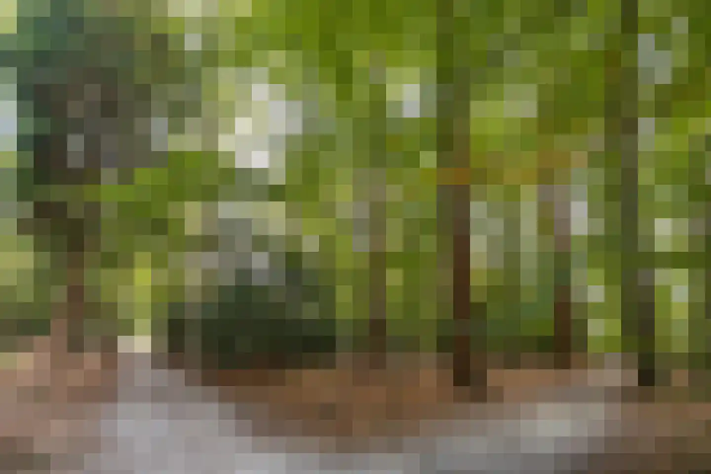 Zutphenseweg 76 Eefde thumbnail 108