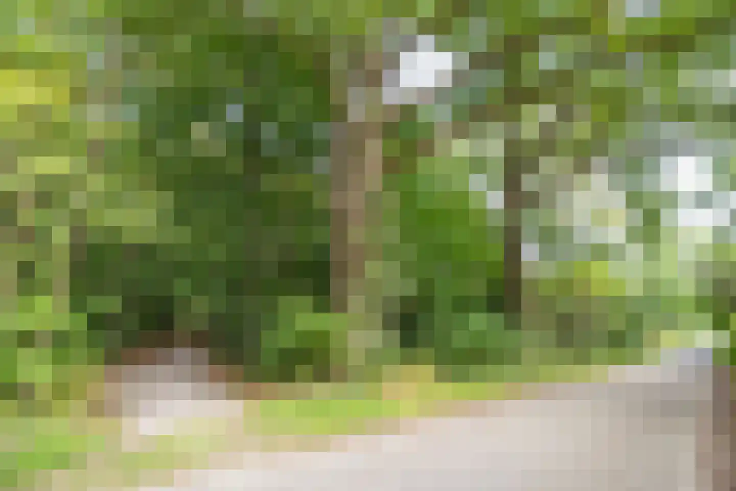 Zutphenseweg 76 Eefde thumbnail 109