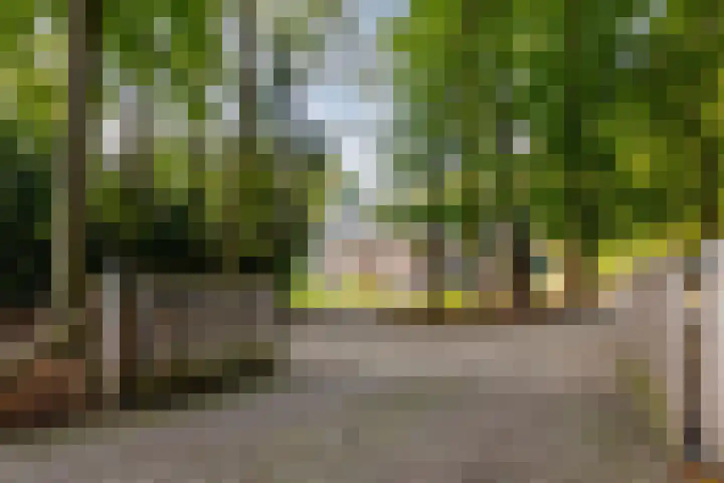 Zutphenseweg 76 Eefde thumbnail 110