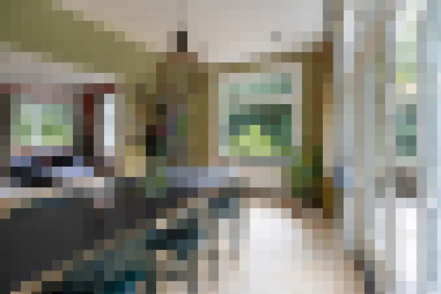 Zutphenseweg 76 Eefde thumbnail 27