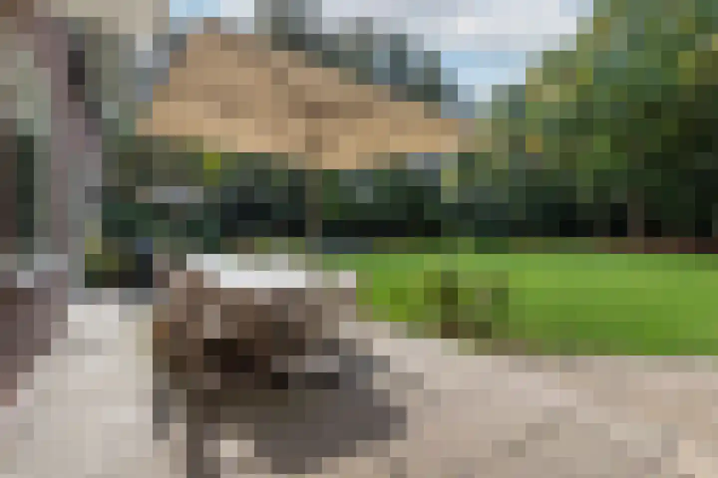 Zutphenseweg 76 Eefde thumbnail 35