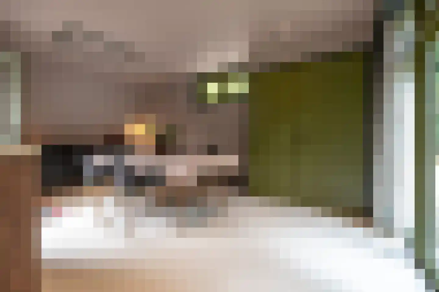 Zutphenseweg 76 Eefde thumbnail 37
