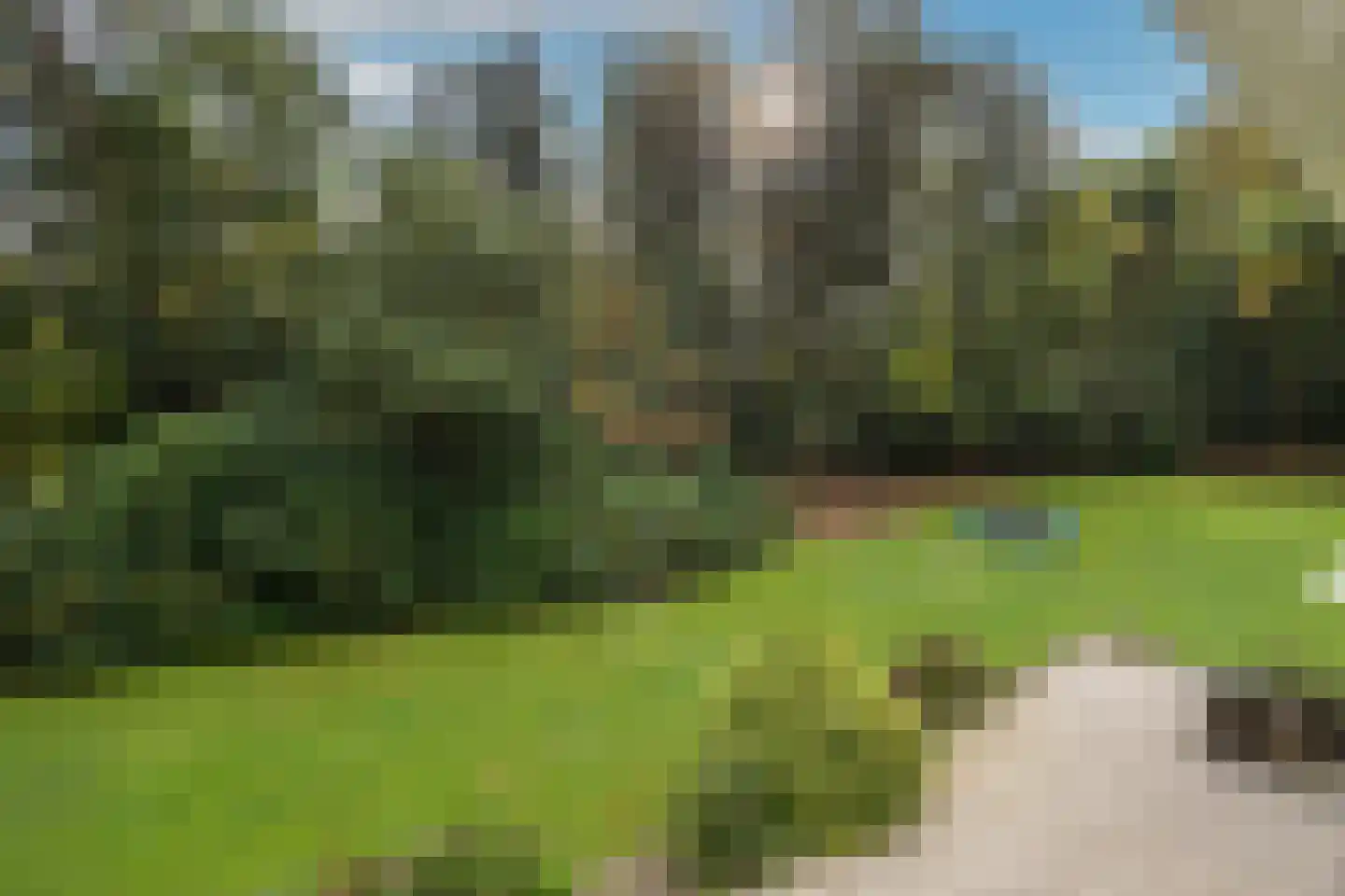Zutphenseweg 76 Eefde thumbnail 55