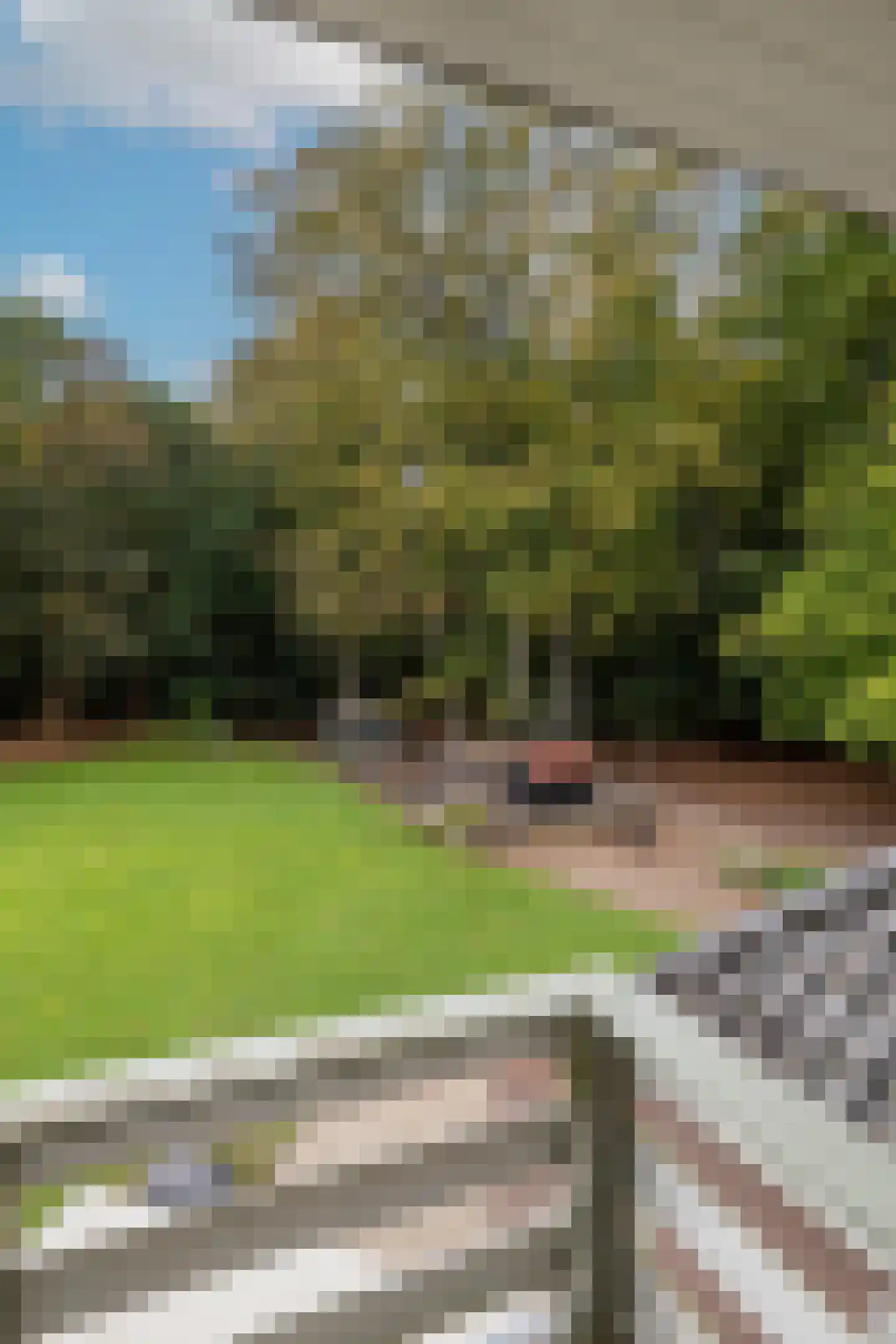 Zutphenseweg 76 Eefde thumbnail 62