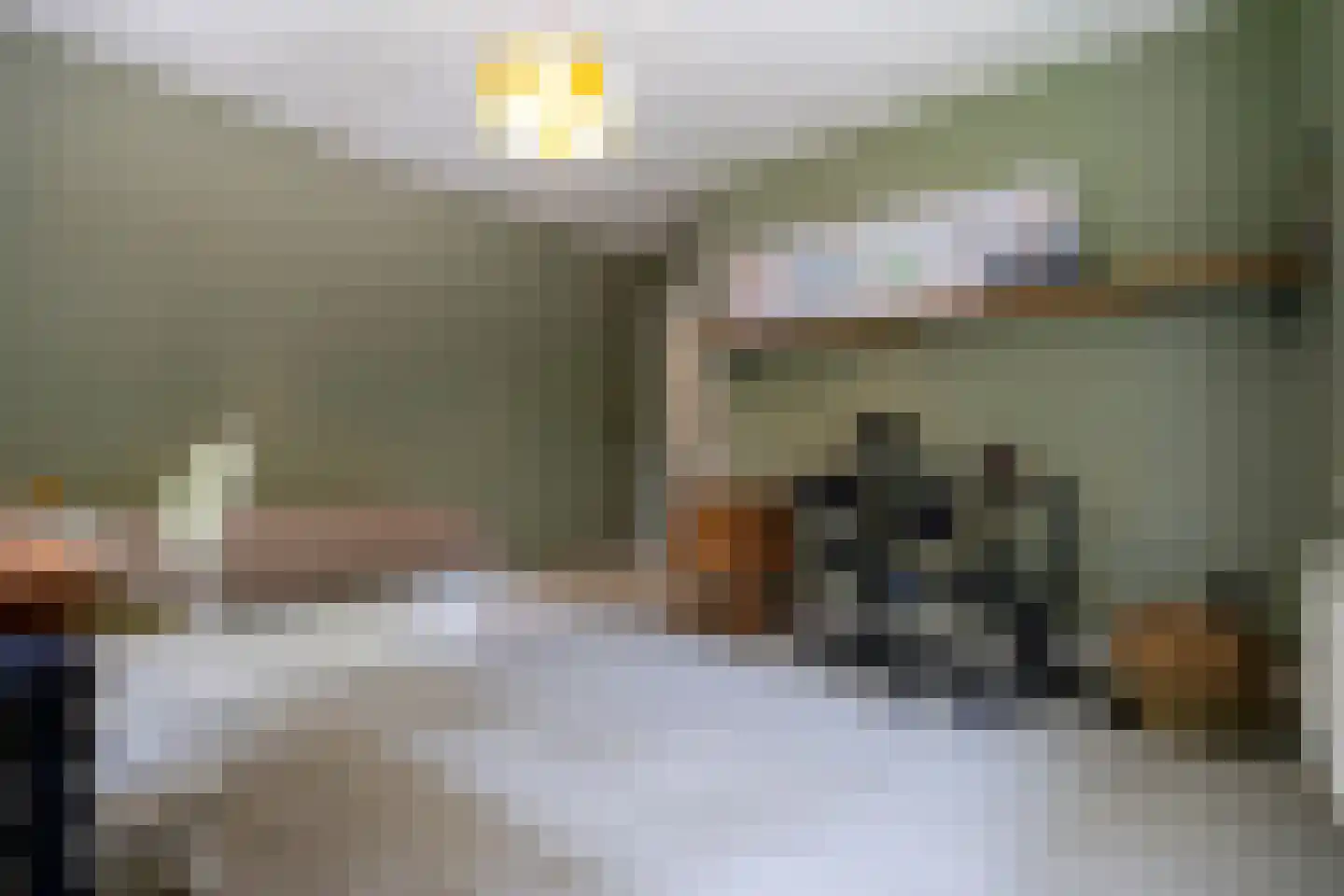 Zutphenseweg 76 Eefde thumbnail 66