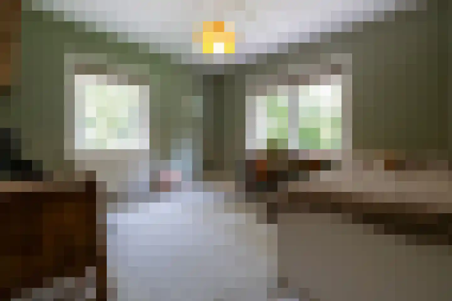 Zutphenseweg 76 Eefde thumbnail 67