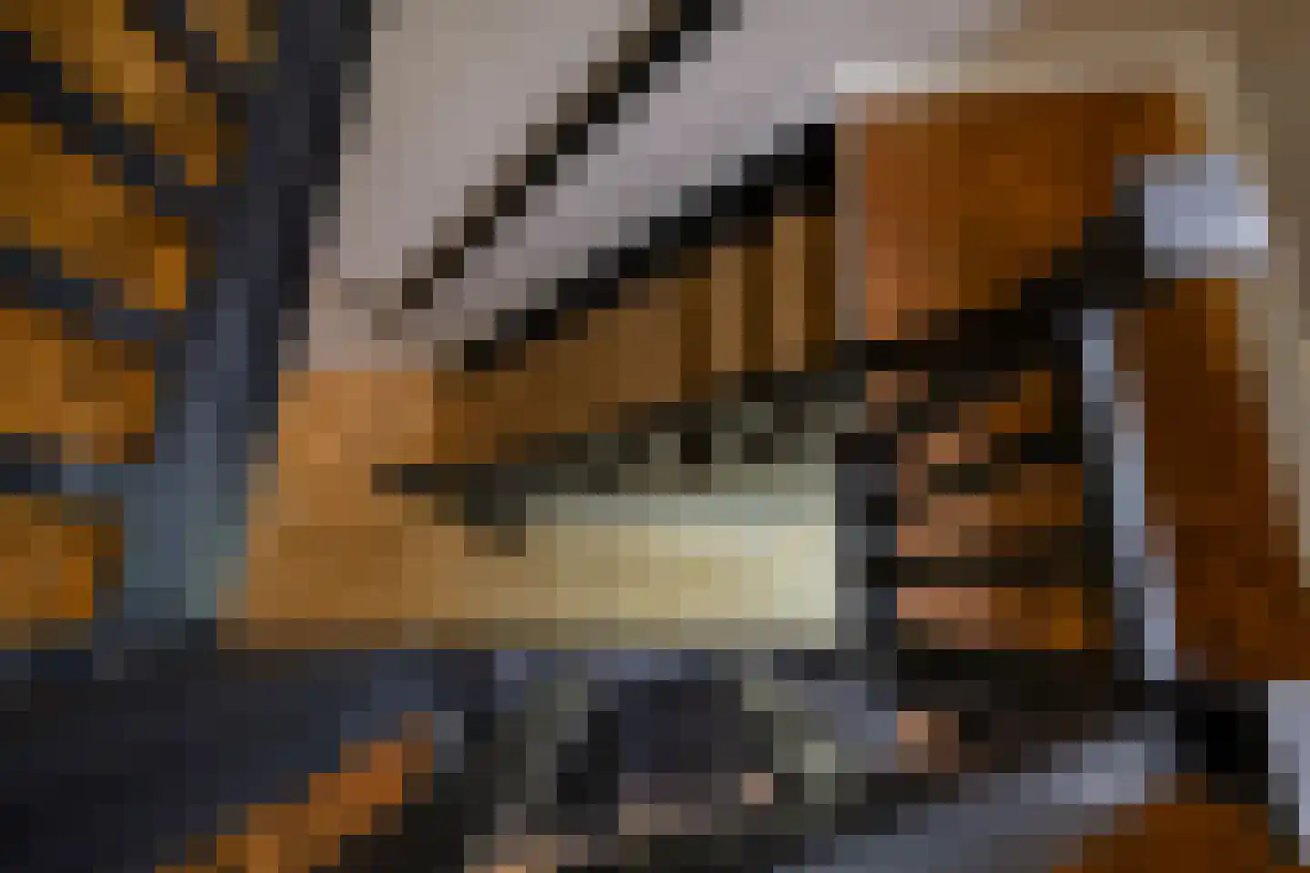 Zutphenseweg 76 Eefde thumbnail 77