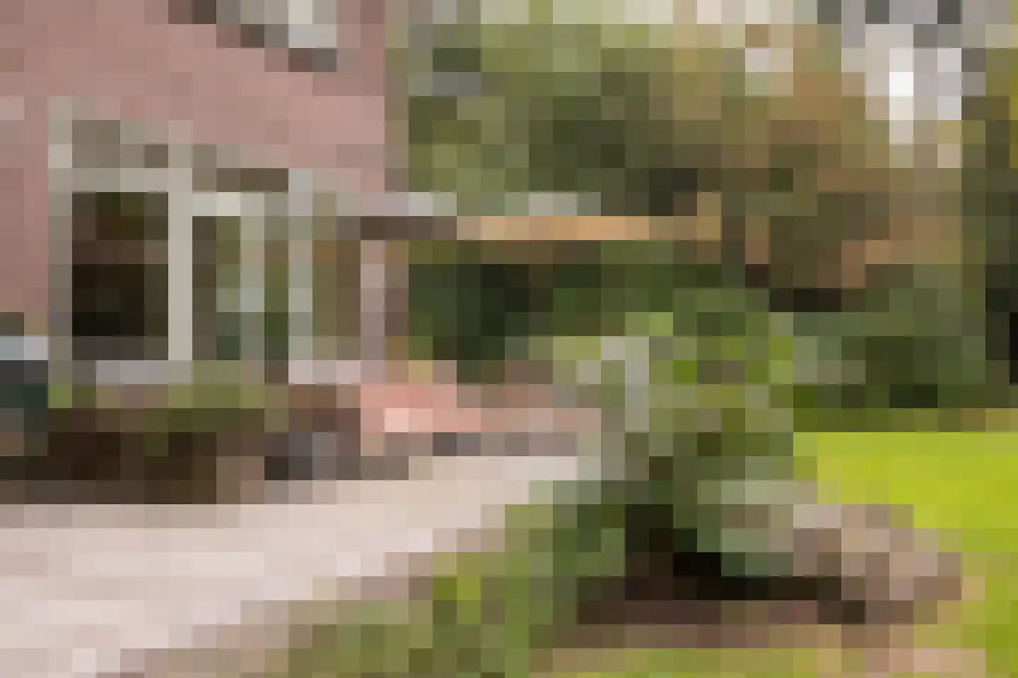 Zutphenseweg 76 Eefde thumbnail 79
