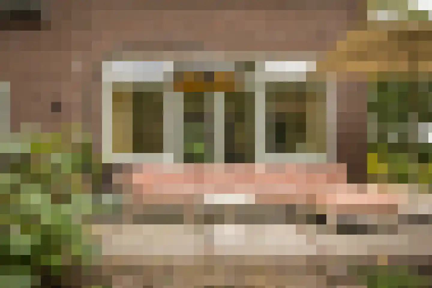 Zutphenseweg 76 Eefde thumbnail 8