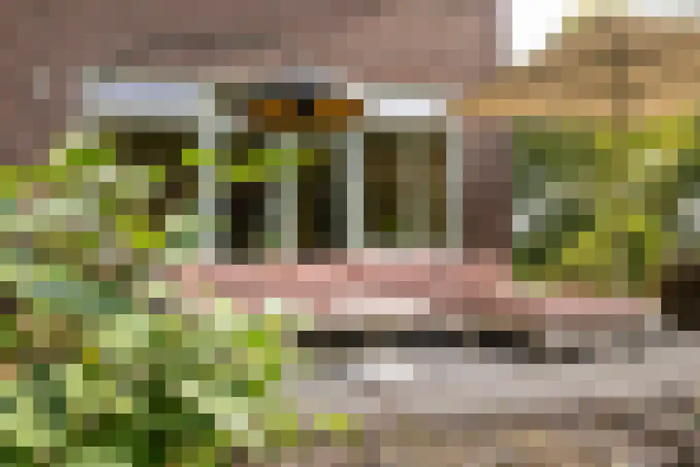 Zutphenseweg 76 Eefde thumbnail 80