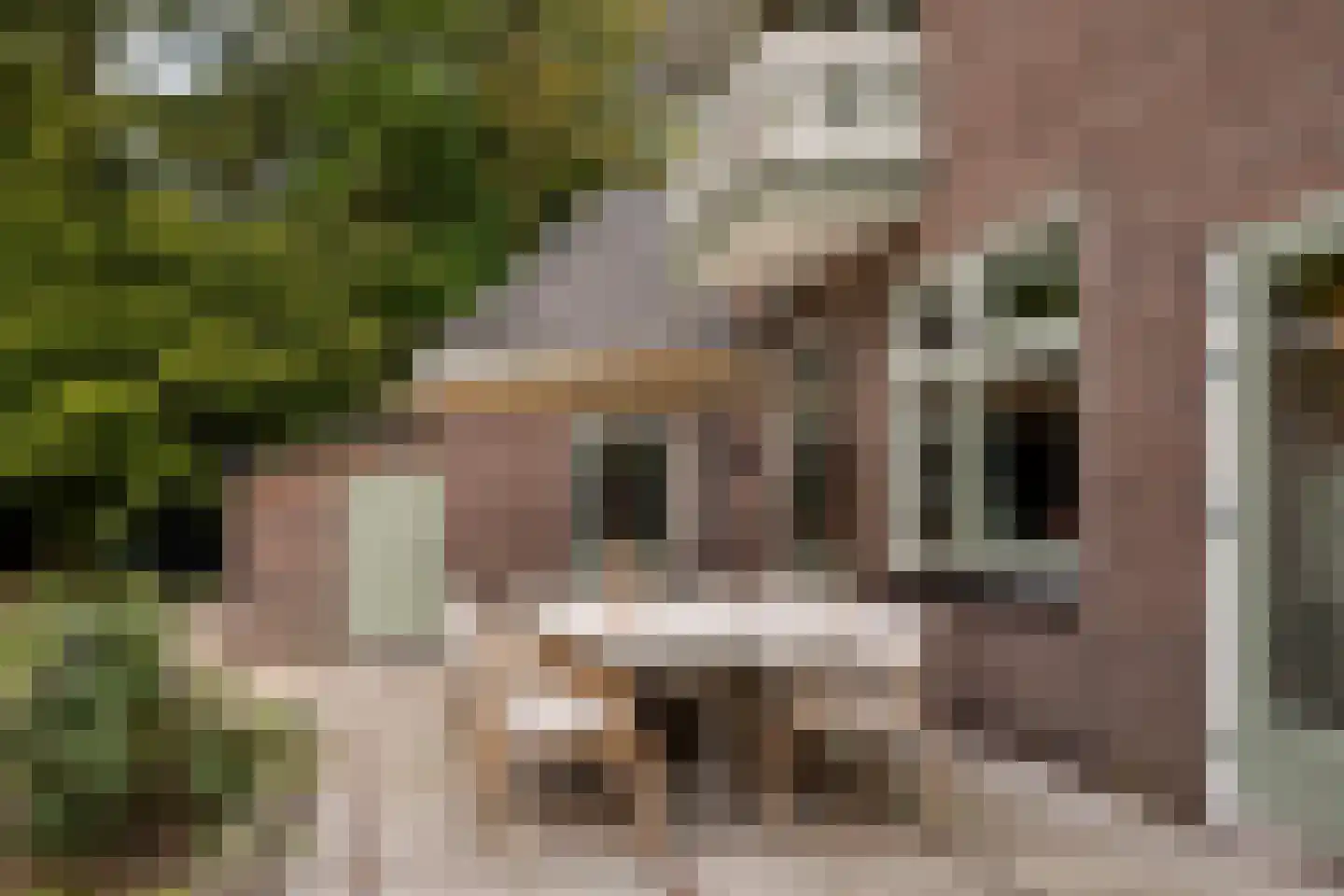 Zutphenseweg 76 Eefde thumbnail 82