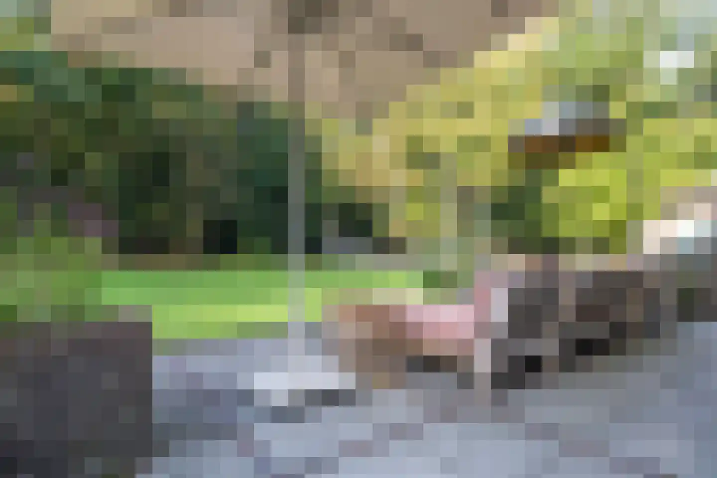 Zutphenseweg 76 Eefde thumbnail 83