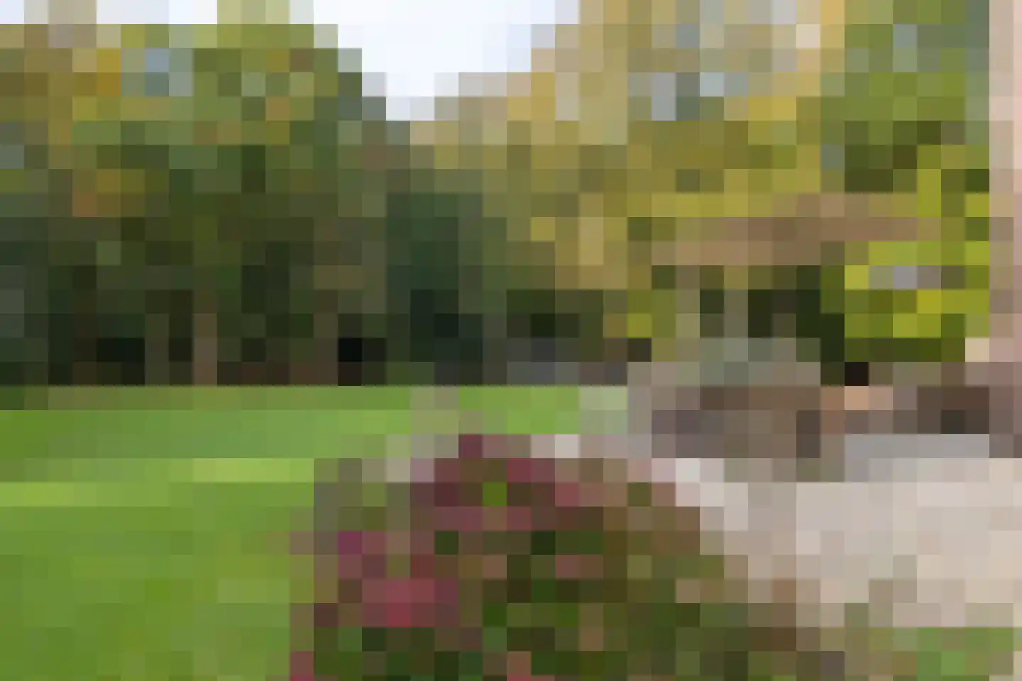 Zutphenseweg 76 Eefde thumbnail 84