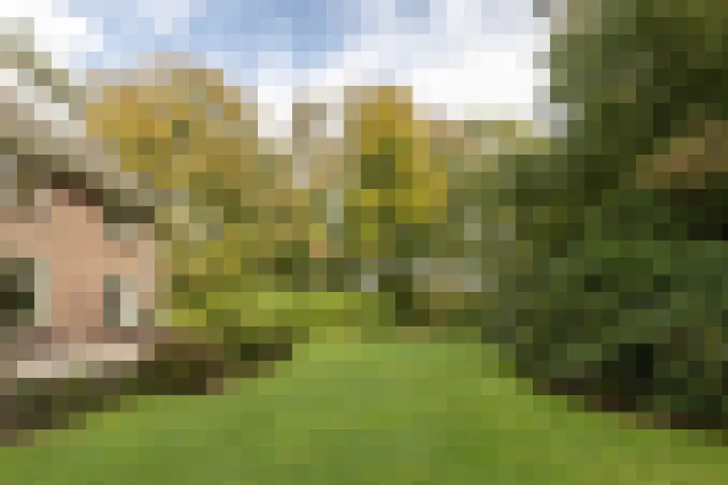 Zutphenseweg 76 Eefde thumbnail 85