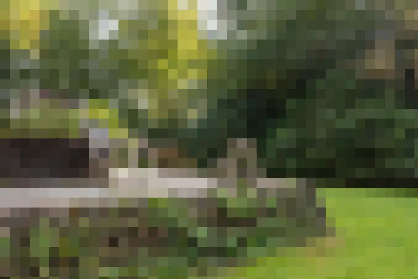 Zutphenseweg 76 Eefde thumbnail 86