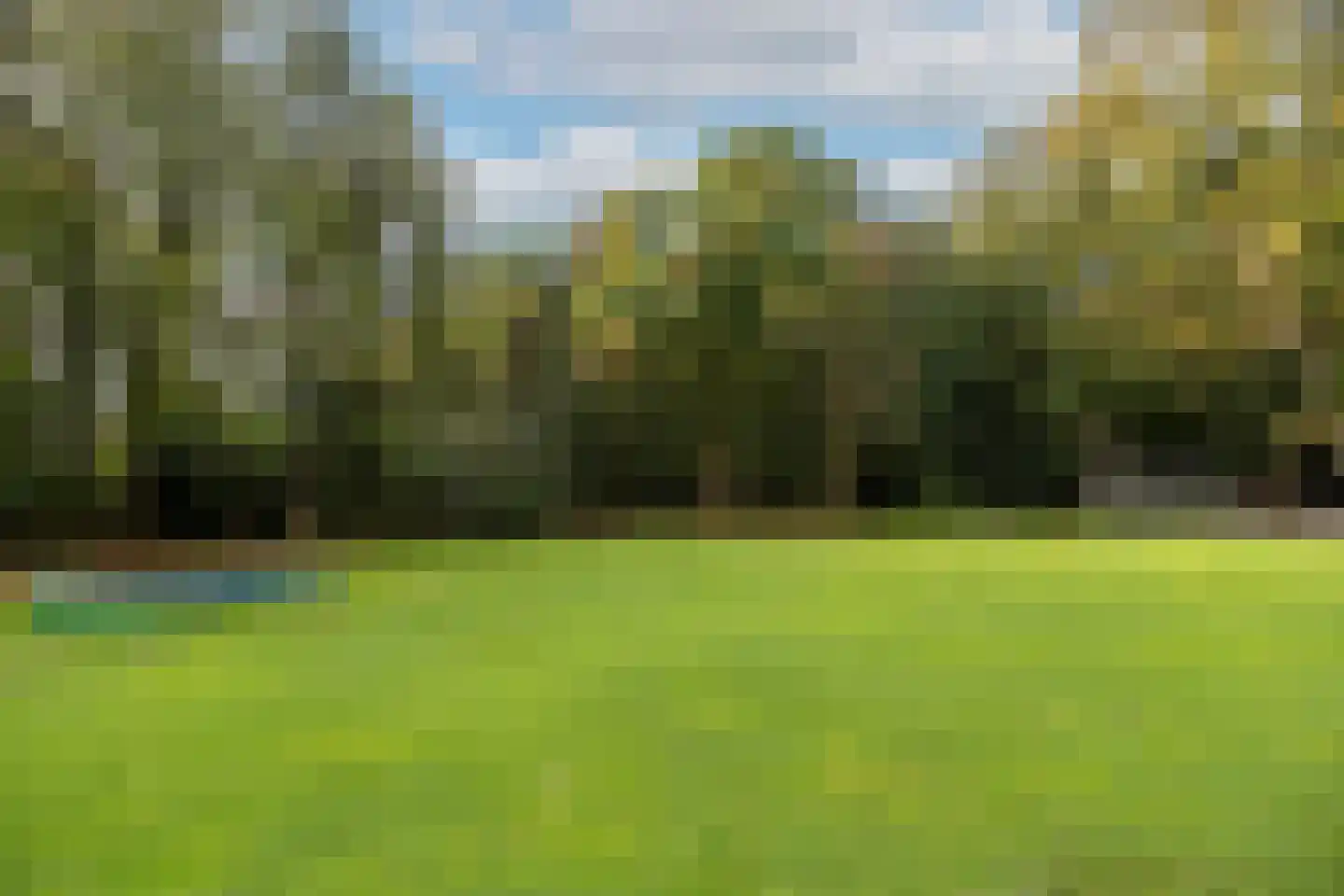 Zutphenseweg 76 Eefde thumbnail 87