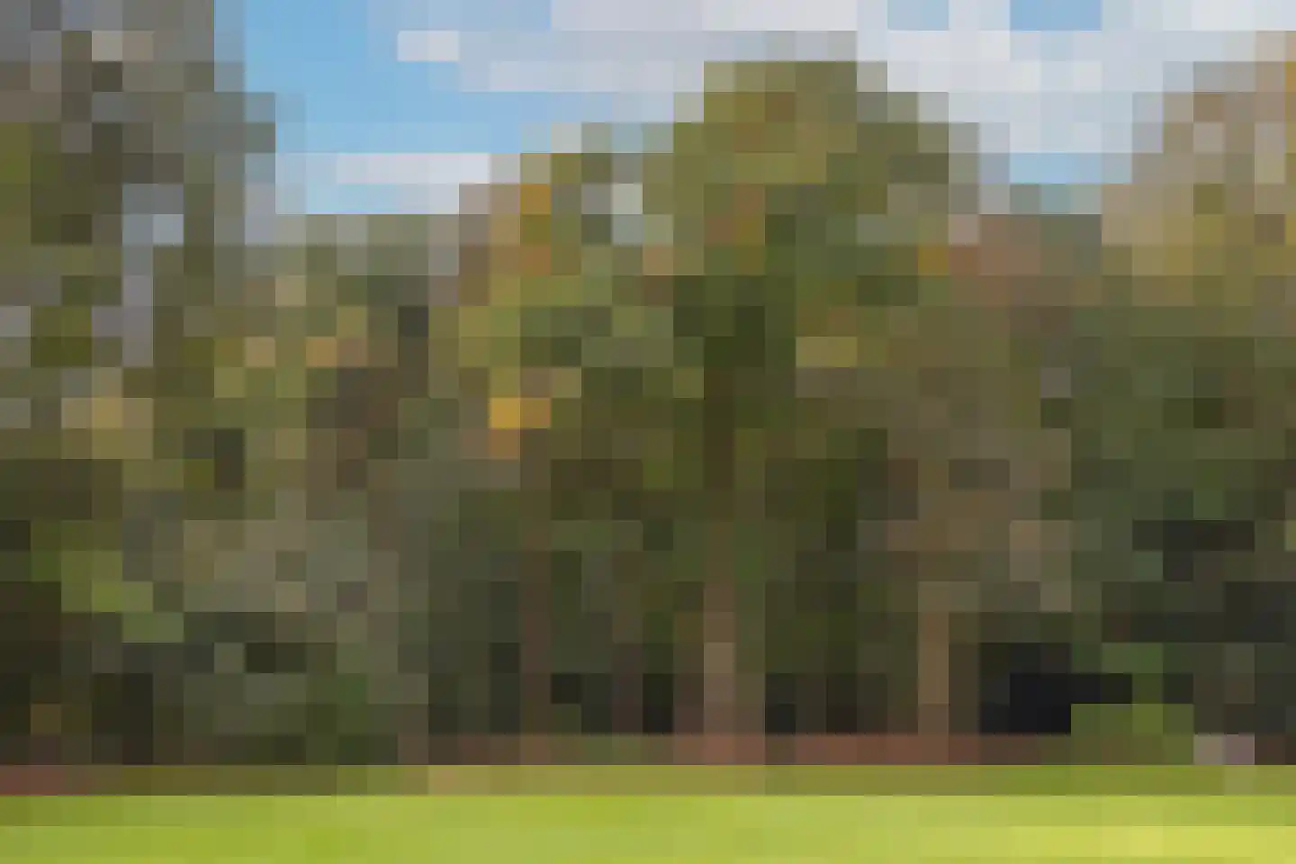 Zutphenseweg 76 Eefde thumbnail 89