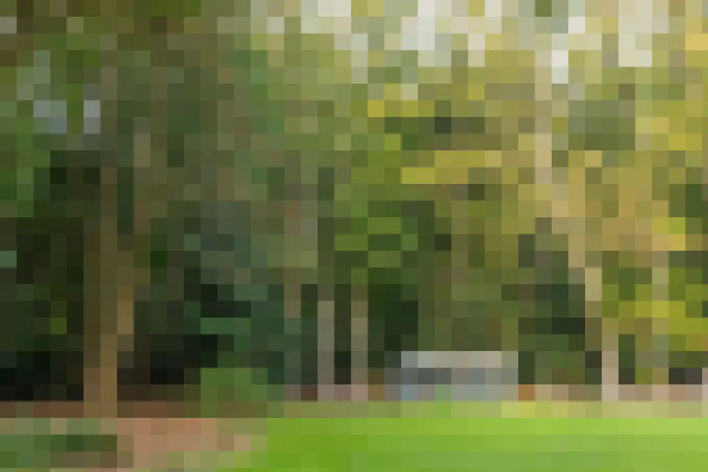Zutphenseweg 76 Eefde thumbnail 92