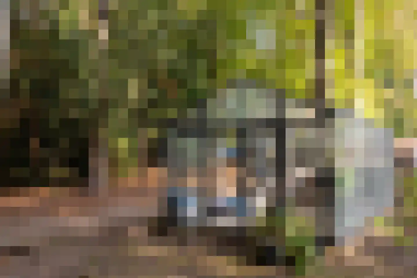 Zutphenseweg 76 Eefde thumbnail 93