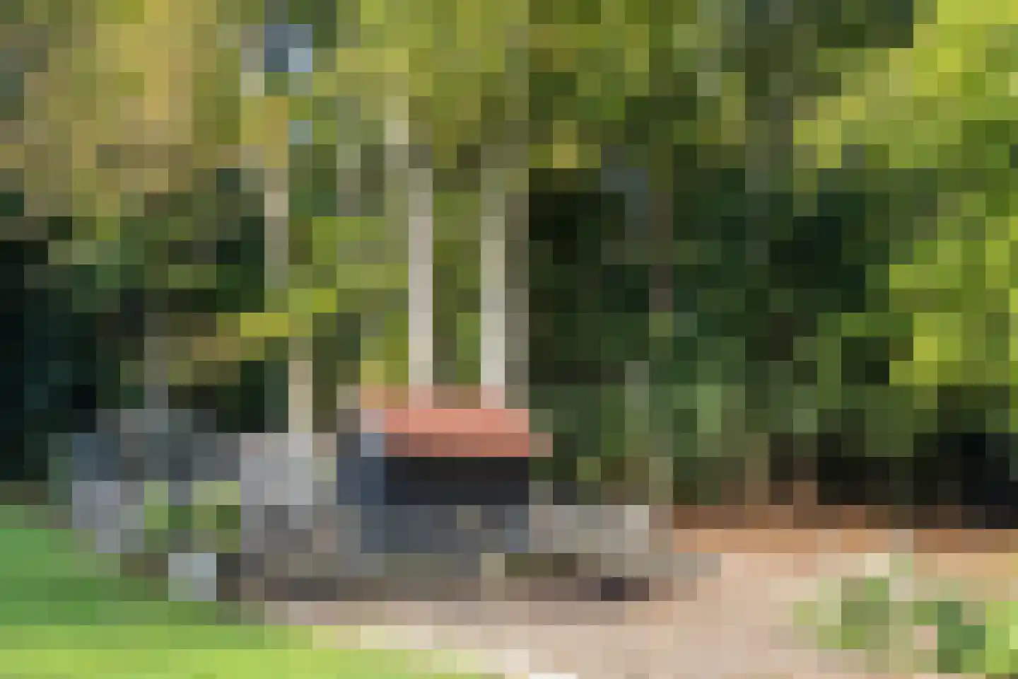 Zutphenseweg 76 Eefde thumbnail 94