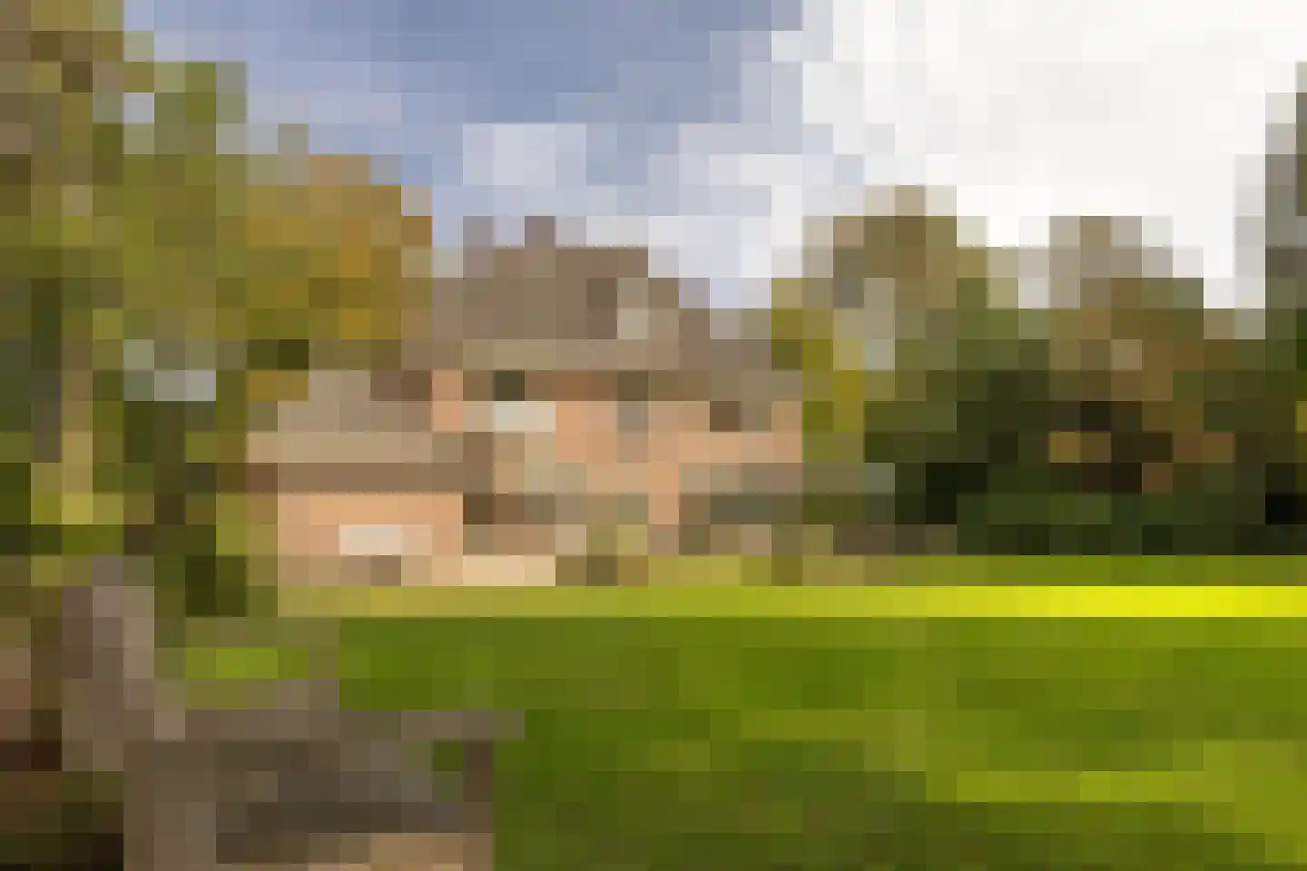 Zutphenseweg 76 Eefde thumbnail 96