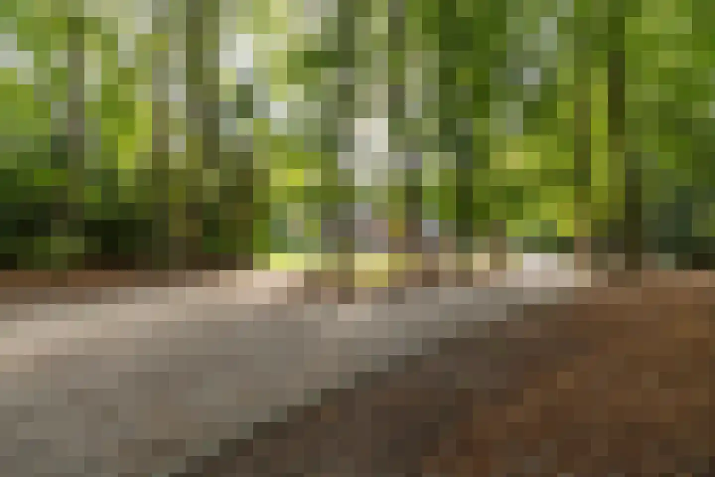 Zutphenseweg 76 Eefde thumbnail 97