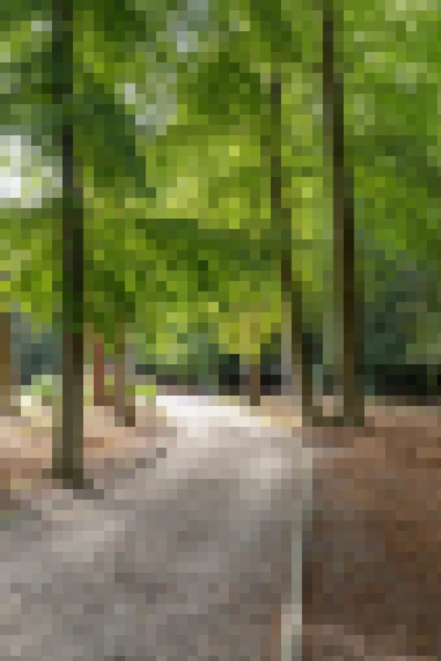 Zutphenseweg 76 Eefde thumbnail 98