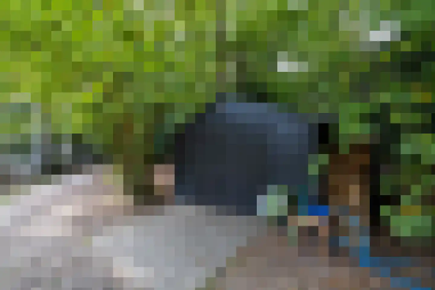 Zutphenseweg 76 Eefde thumbnail 99