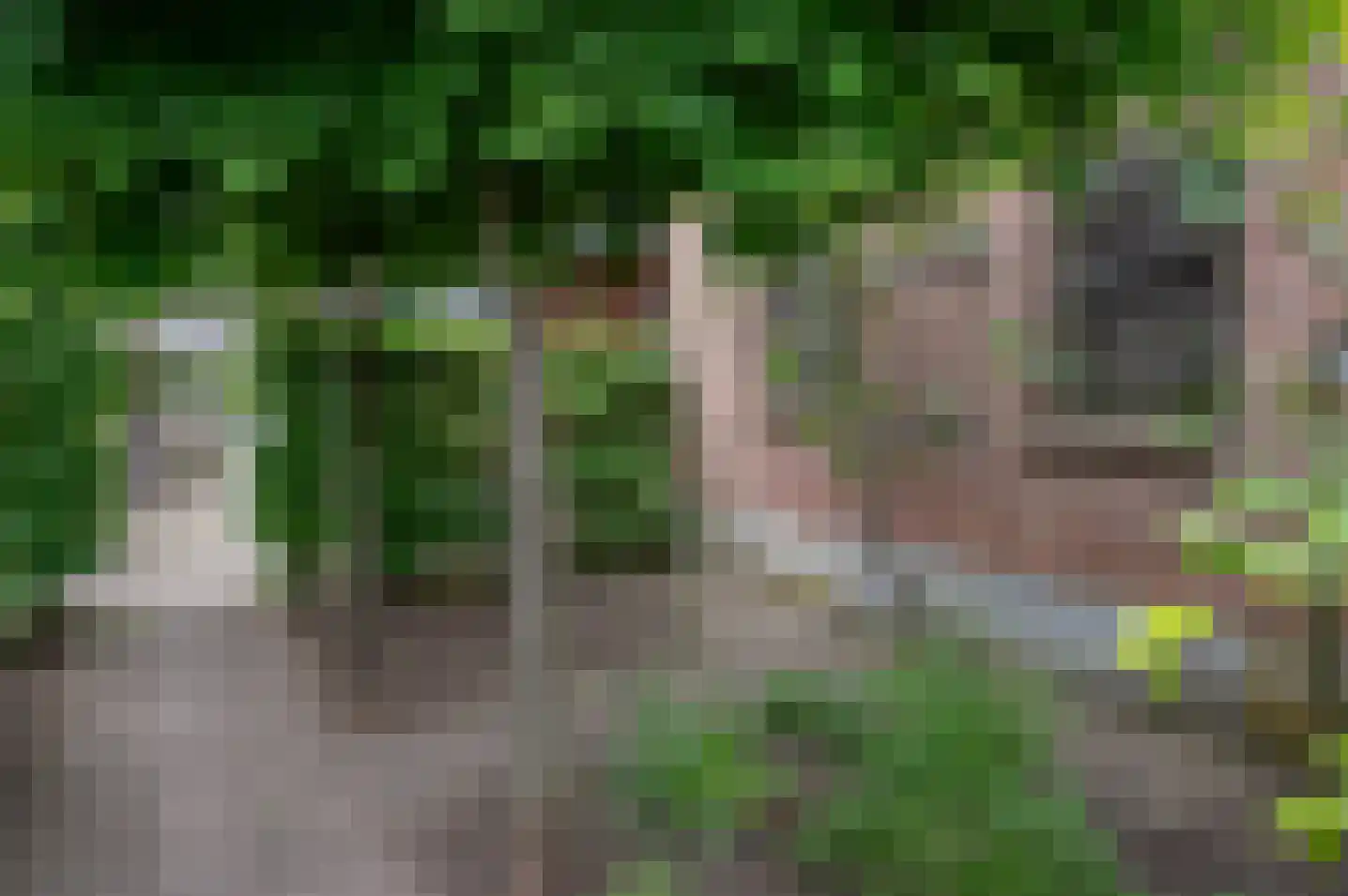 Zutphenseweg 80 Vorden thumbnail 13